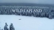 Дикая Лапландия / Wild Lapland (2019)