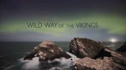 Дикий путь викингов / Wild Way of The Vikings (2018)