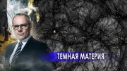 Тёмная материя. Странное дело (24.12.2020)