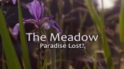 Луг. Потерянный рай / The Meadow - Paradise Lost? (2019)