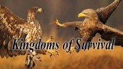 Борьба за выживание (106 фильмов) / Kingdoms of Survival (1988-2001)