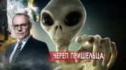 Череп пришельца. Странное дело (02.11.2021)