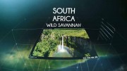 ЮАР. Дикая саванна / South Africa - Wild savannah (2018)