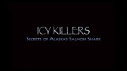 Убийцы холодных вод / Icy Killers: Secrets of Alaska's Salmon Shark (2008)