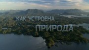 Как устроена природа (1-4 серии из 4) / How Nature Works (2012)