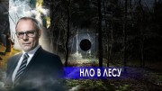 НЛО в лесу. Странное дело (11.01.2021)