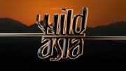 Дикая Азия (Изменчивое сердце) / Wild Asia: The Arid Heart (2009)
