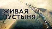 Живая пустыня (2021)