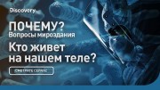 Кто живет на нашем теле? Почему? Вопросы мироздания