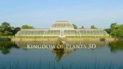 В королевстве растений (3 серии из 3) / Kingdom of Plants 3D (2012)