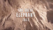 Потрясающие истории слонов / The Great Elephant Tale (2020) 4K