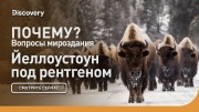 Йеллоустоун под рентгеном. Почему? Вопросы мироздания