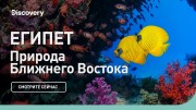 Египет. Природа ближнего востока