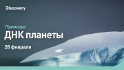 ДНК планеты. Арктика