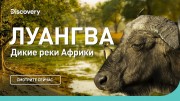 Луангва. Дикие реки Африки