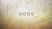 Собаки 1 сезон (1-6 серии из 6) / Dogs (2018)