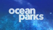 Океанские парки 4 серия. Мезоамериканский риф / Ocean Parks (2017) 4K
