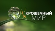Крoшeчный мир 1 и 2 сезоны (все серии) (2020-2021)