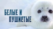 Белые и пушистые (2021)