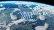 Дикая природа Баварии 2 серия. Обитатели чащи / Wild Bavaria (2019)