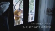 Прозрачный мир / Transparent World (2018)