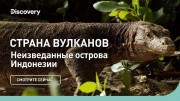 Неизведанные острова Индонезии. Страна вулканов