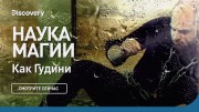 Как Гудини. Наука магии
