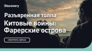 Разъяренная толпа. Китовые войны: Фарерские острова