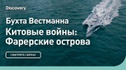 Бухта Вестманна. Китовые войны: Фарерские острова