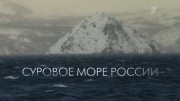 Суровое море России (18.07.2021)