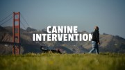 Обучение собак 1 серия / Canine Intervention (2021)