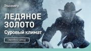 Суровый климат. Ледяное золото