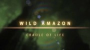 Дикая природа Амазонки 1 серия. Колыбель жизни / Wild Amazon (2010)