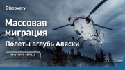 Массовая миграция. Полеты вглубь Аляски