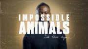 Невозможные животные 2 серия. Тропические леса / Impossible Animals: with Patrick Aryee (2021)