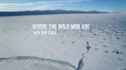 Есть на свете тихий уголок. Монголия / Where the Wild Men Are with Ben Fogle (2016)
