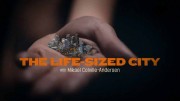 Жизнь в большом городе. Торонто / The Life-Sized City. Toronto (2018)