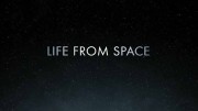 Жизнь, пришедшая из космоса 2 серия. Чёрные дыры / Life from space (2021)