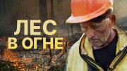 Лес в огне (2021)
