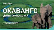 Окаванго. Дикие реки Африки