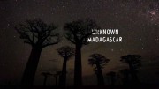 Неизвестный Мадагаскар 1 серия. Лес индри / Unknown Madagascar (2020)