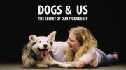 Люди и собаки (Мы и собаки - секрет нашей дружбы) / Dogs & US The secret of our friendship (2019)