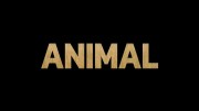 Удивительные животные 3 серия. Сумчатые / Animal (2021)