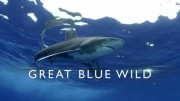Великая синяя бездна 3 сезон (все серии) / Great Blue Wild (2018)