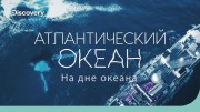 Атлантический океан: бездна землетрясений. На дне океана