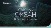 Южный океан: в сердце холода. На дне океана
