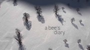 Жизнь пчелы / A Bee's Diary (2020)