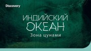 Индийский океан: зона цунами. На дне океана