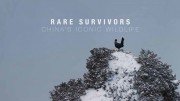Редкие и выжившие: знаменитые животные Китая / Rare Survivors: China's Iconic Wildlife (2021)