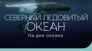 Северный Ледовитый океан: полярная бездна. На дне океана